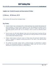 EGF Turkey File, February 2015