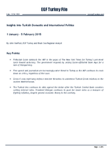 EGF Turkey File, January 2015