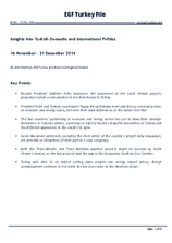 EGF Turkey File, Mid November &mdash; December 2014